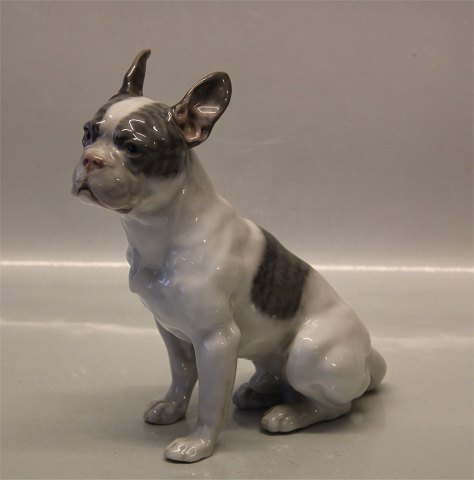 Royal Copenhagen figurine 1466 - 1452 RC French Bulldog sitting 20 x 18 cm 
Lauritz Jensen 1913