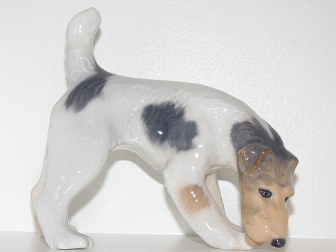 Royal Copenhagen figur
Ruhåret terrier