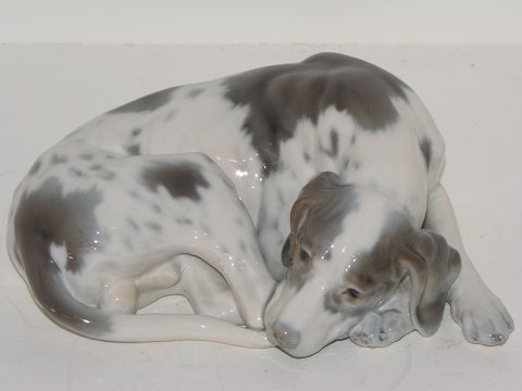 Dahl Jensen figurine
Hunting dog