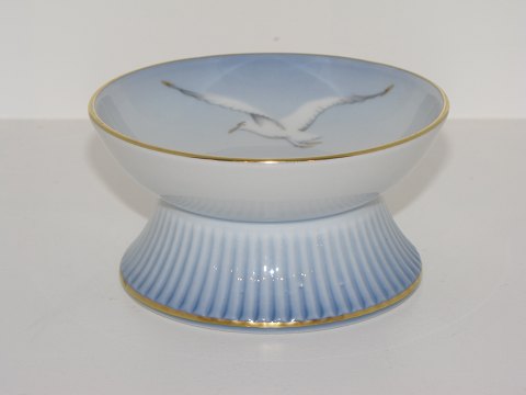 Seagull with gold edge
Candle light holder