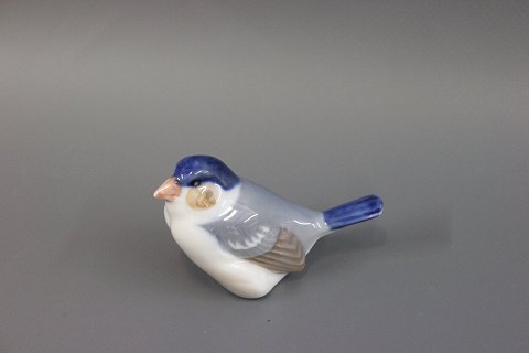 Royal Copenhagen porcelain figurine, royal Finch no. 1040.
5000m2 showroom.
Great condition
