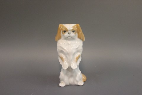 Kongelig porcelæns figur, Pekingeser fra 1959 nr. 1776.
Flot stand
