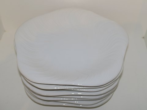 Conch or Triton, White