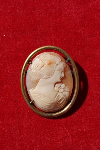 item no: sm-Camé broche