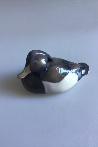 Royal Copenhagen Figur Tufted Duck  No. 1924.