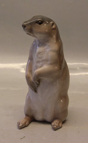 Royal Copenhagen 1096 RC Prairie dog 20 x 11 cm 1909 (Marmot Brossemins)
