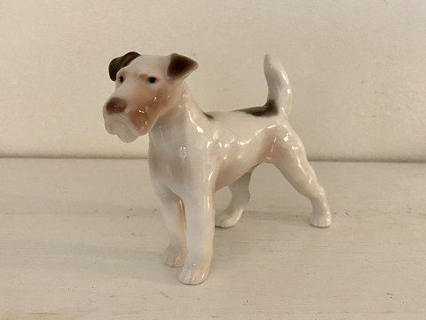 Bing & Grøndahl
Foxterrier
#2072
*600kr