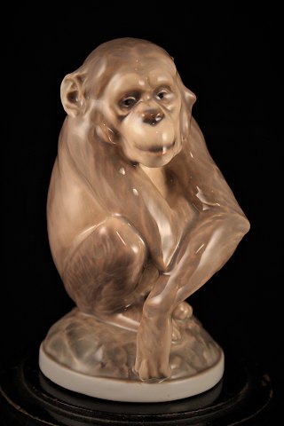 Small porcelain monkey by Dahl Jensen (DJ) Royal Copenhagen.
1055.