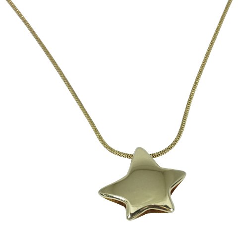 Ralf Kronsted; A necklace of 14k gold set with a star pendant