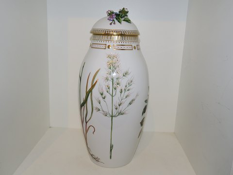 Flora Danica
Large lidded vase