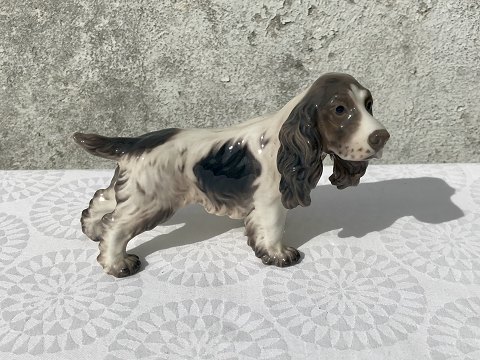 Dahl Jensen
Cocker spaniel
# 1145
*700kr