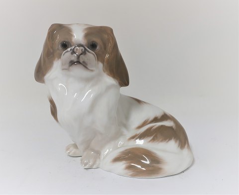 Royal Copenhagen. Figure. Pekingese. Model 1453 -1772. Height 12 cm. Produced 
before 1923. (1 quality)