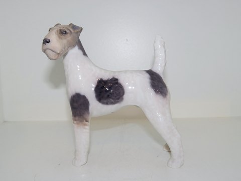 Royal Copenhagen dog figurine
Wirehaired Terrier