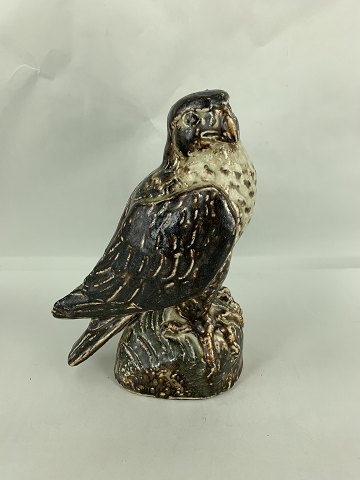 main