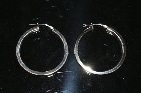 Hoop earrings in sterling silver