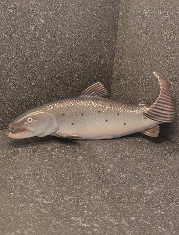 Royal Copenhagen salmon number 2366