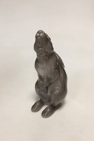 Royal Copenhagen Figurine Begging Rabbit No 504.