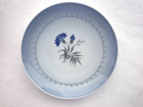 Bing & Grondahl
Cornflower
Cake plate
# 28A
* 25kr