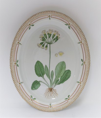 Royal Copenhagen. Flora Danica. Ovalt fad. Model # 3518. Længde 40 cm. ( 1 
sortering ). Primula unicolor Nolt