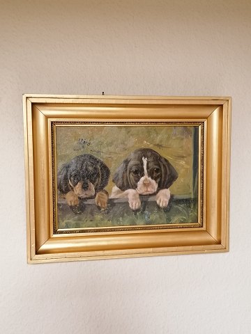 Two puppies Oil on canvas Sign. Aage Wang