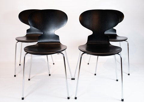 Sæt af Fire Myre Stole - Model 3101 - Sort - Arne Jacobsen - Fritz Hansen