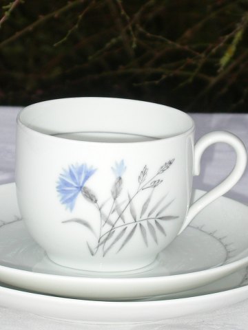 Bing & Grondahl Demeter Cup & saucer