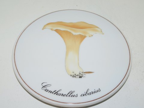 Bing & Grondahl Mushroom Plate
Cantharelle