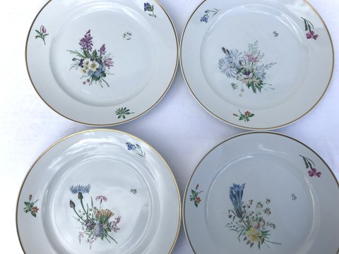 Royal Copenhagen
Primavera
Middagstallerken
#1515/14008
*175kr