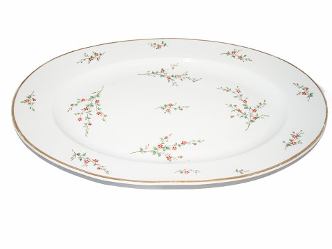 Barberry
Extra large platter 50 cm.