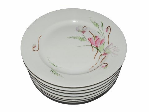 Cyclamen
Luncheon plate 20 cm.