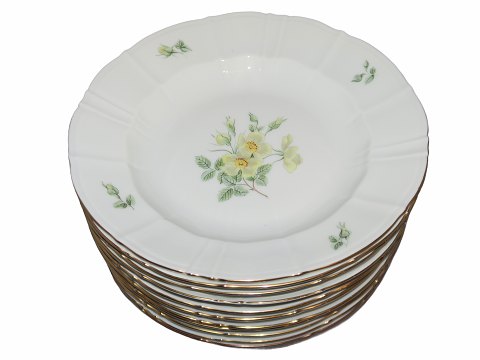 Dune Rose
Large soup plate 24.5 cm.