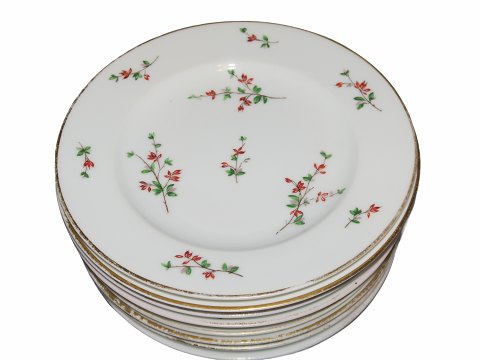 Barberry
Luncheon plate 20 cm.