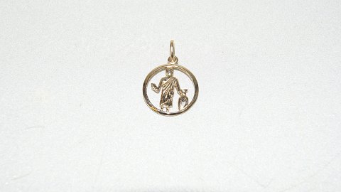 Elegant pendant zodiac sign Aquarius 14 Carat Gold