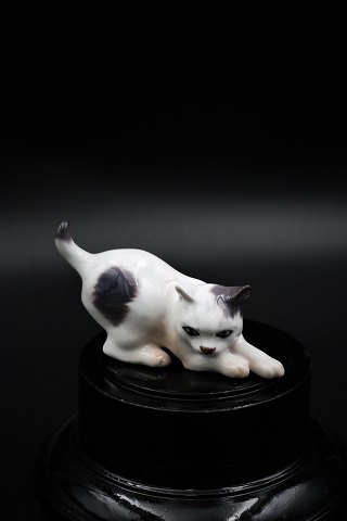 Lille porcelæns kat fra Dahl Jensen.
DJ# 1013. 1.sort. H:6,5cm. L:12cm.
