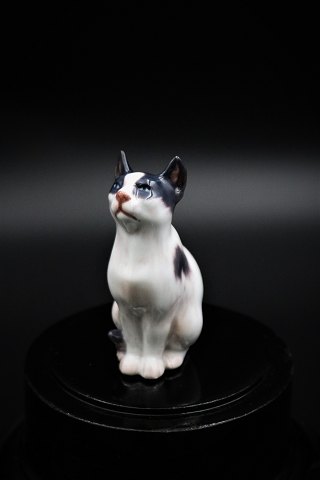 Lille porcelæns kat fra Dahl Jensen.
DJ# 1329. 1.sort. H:9,5cm.