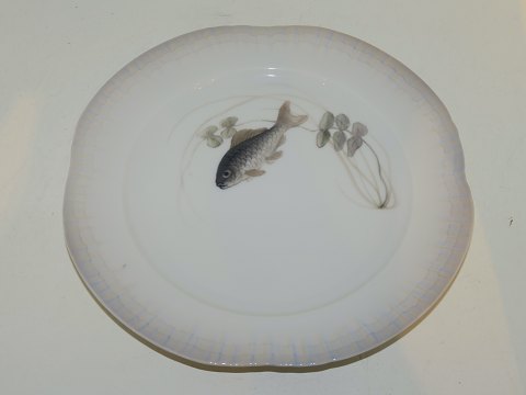 Royal Copenhagen
Fish plate 
Art Nouveau from 1923-1928