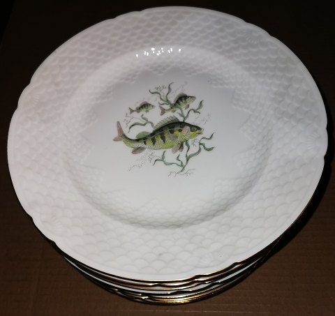 12 B&G fish plates