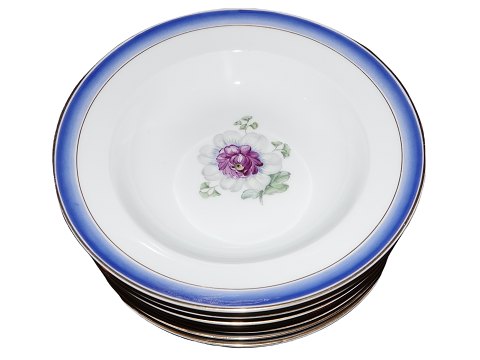 Blue Edge and Flowers
Soup plate 23.1 cm.