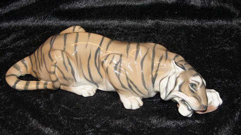 Royal Copenhagen Tiger gnawing a leg
Dek nr # 2065 Kgl.
Length 36 cm
Peter Herold 1919
SOLD