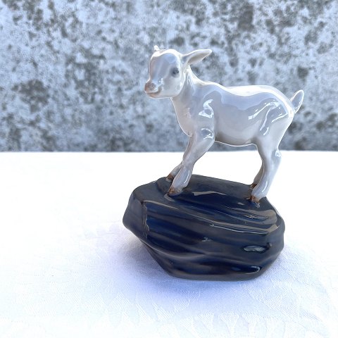 Royal Copenhagen
Goat kid
# 4760
* 500 DKK