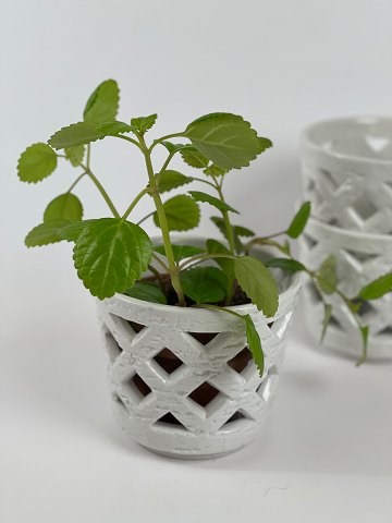 Gunnar Nylund for Rørstrand, set of three Swedish off-white chamotte herb pots