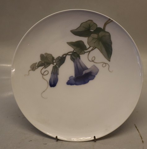 790-1122 RC Decorative plate 23 cm with blue Calystegia pre 1923 Painter 87 
Royal Copenhagen