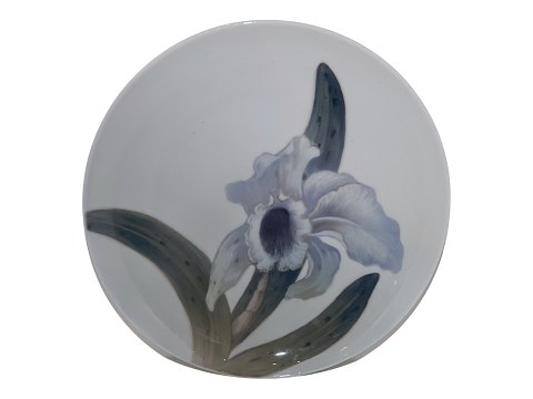 item no: 533504