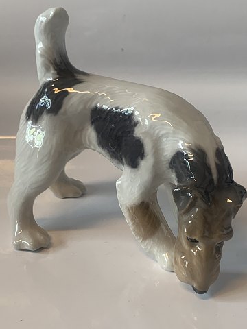 Royal Copenhagen figure - Fox Terrier
Deck no. 3020