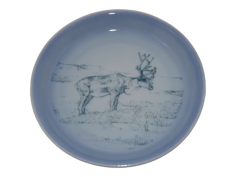 Mini Bing & Grondahl Greenland plate
Reindeer