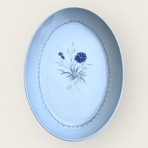 Bing&Grøndahl
Cornflower
Serving platter
#18
*100 DKK