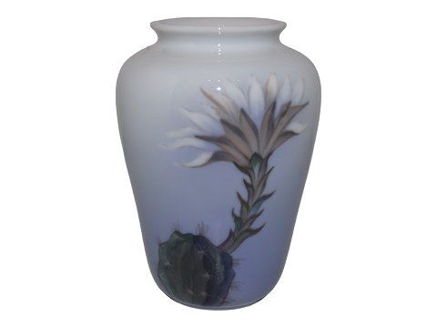 item no: 556175
