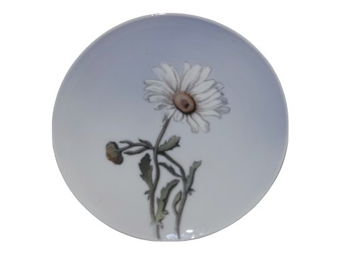 Royal Copenhagen 
Small Art Nouveau plate with daisy