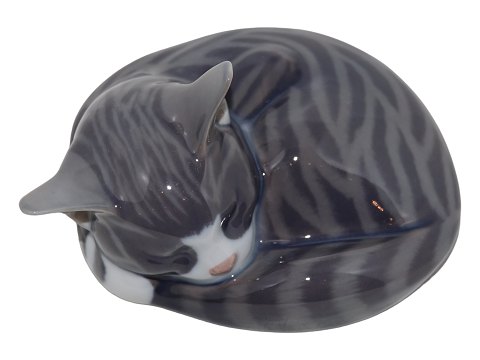 item no: 562280