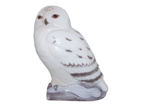 Bing & Grondahl figurine
Snowy owl
